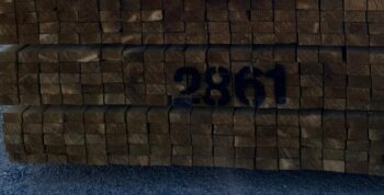 Jauktas sugas zāģmateriāls, 25x50x3300, UC2 imprignēts zaļš, 1šķ