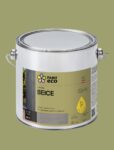 Paint eco Beice Balodis
